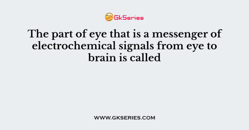 The part of eye that is a messenger of electrochemical signals from eye to brain is called