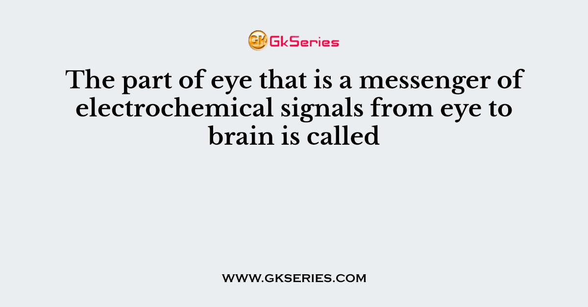 The part of eye that is a messenger of electrochemical signals from eye to brain is called