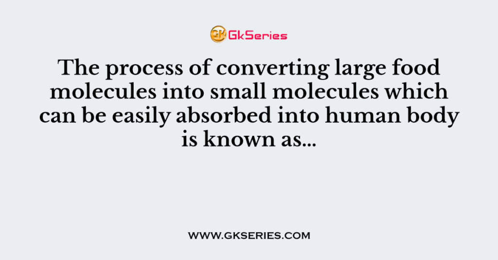 The process of converting large food molecules into small molecules