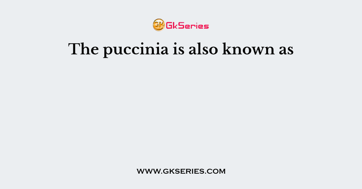 The puccinia is also known as