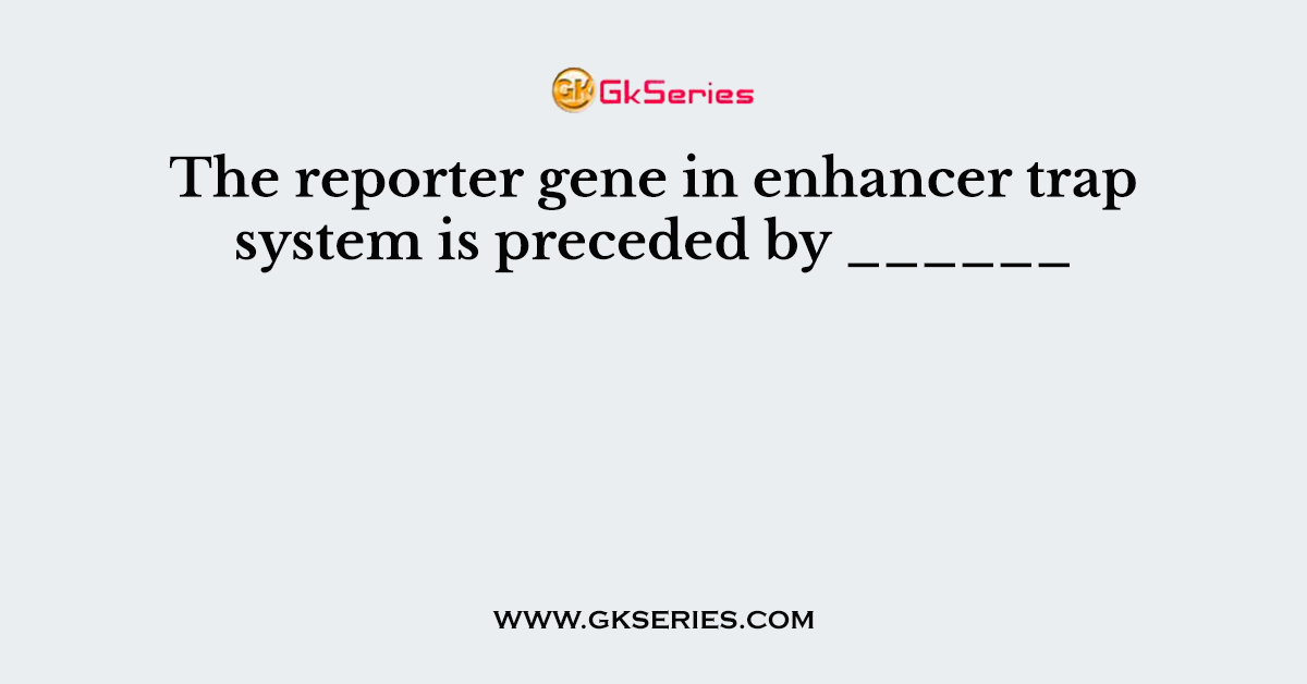 The reporter gene in enhancer trap system is preceded by ______