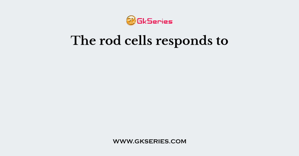 The rod cells responds to
