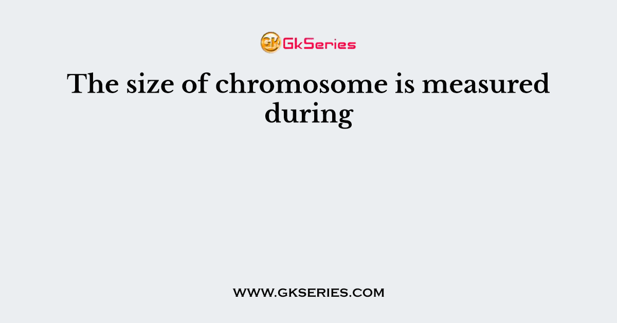 The size of chromosome is measured during