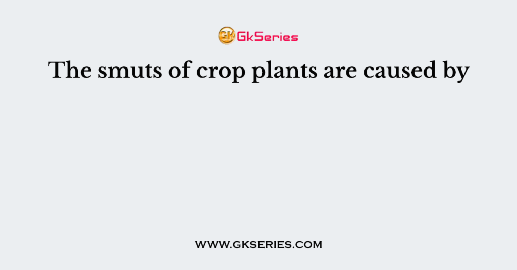 The smuts of crop plants are caused by