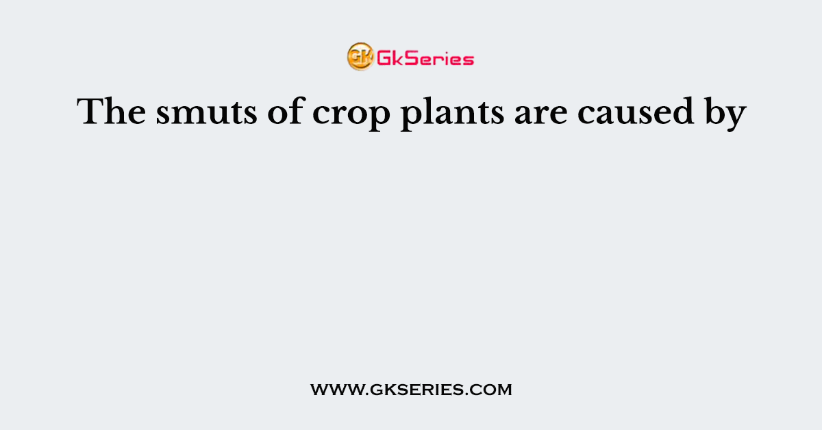 The smuts of crop plants are caused by