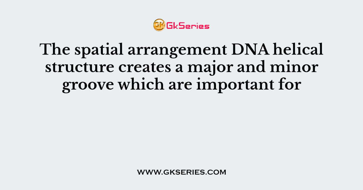 The spatial arrangement DNA helical structure creates a major and minor groove which are important for