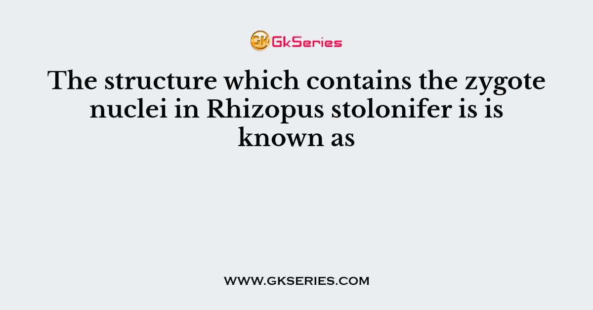 The structure which contains the zygote nuclei in Rhizopus stolonifer is is known as