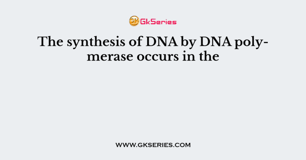 The synthesis of DNA by DNA polymerase occurs in the