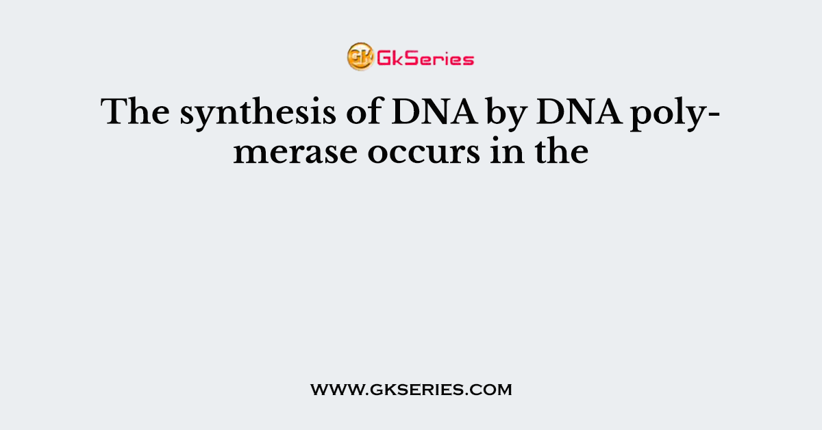 The synthesis of DNA by DNA polymerase occurs in the