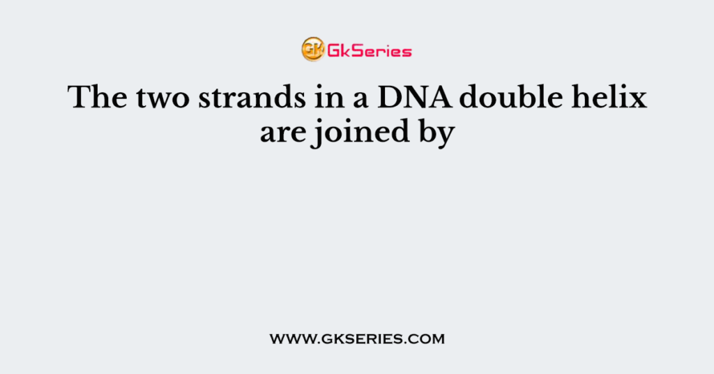 The two strands in a DNA double helix are joined by