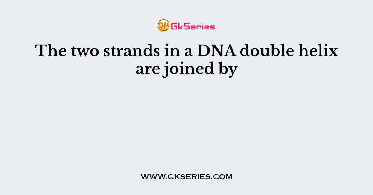 The two strands in a DNA double helix are joined by