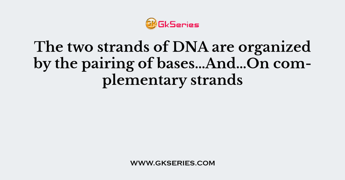 The two strands of DNA are organized by the pairing of bases…And…On complementary strands