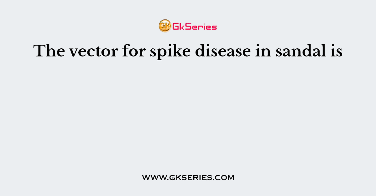 The vector for spike disease in sandal is