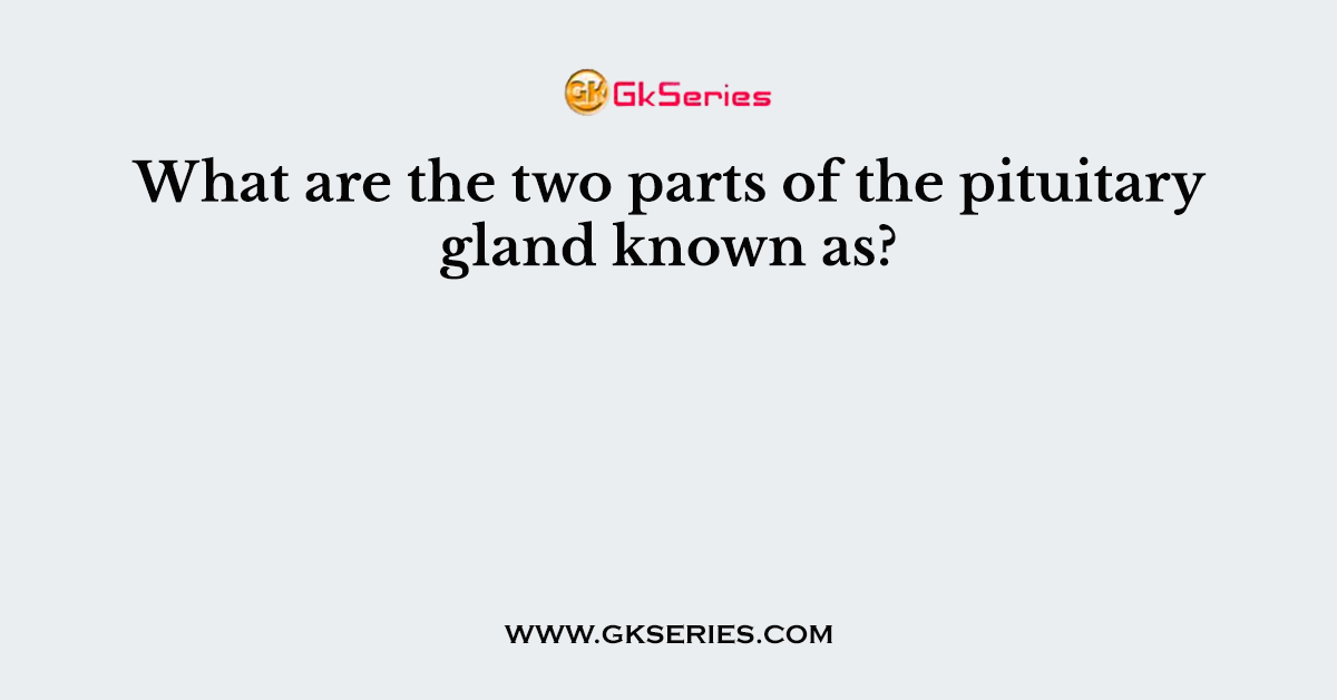 What are the two parts of the pituitary gland known as?