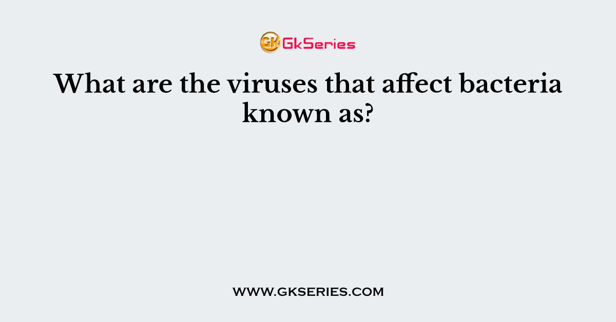 What are the viruses that affect bacteria known as?