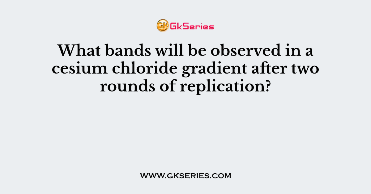 What bands will be observed in a cesium chloride gradient after two rounds of replication?