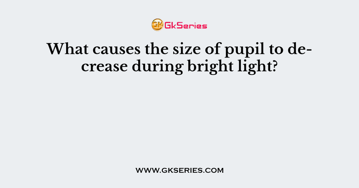 What causes the size of pupil to decrease during bright light?