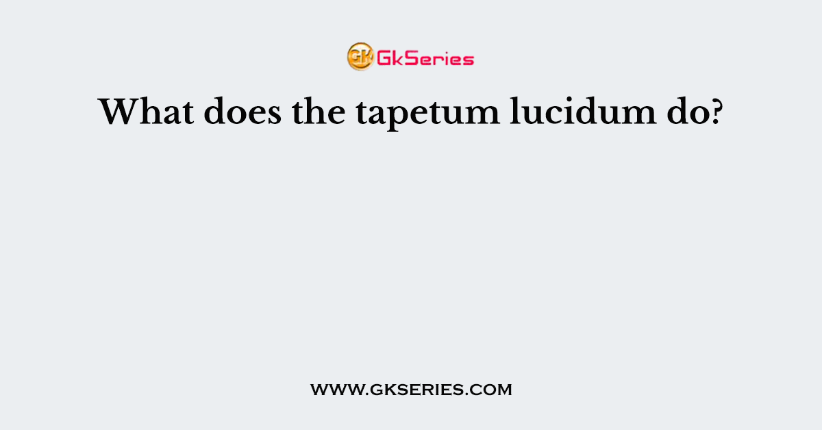 What does the tapetum lucidum do?