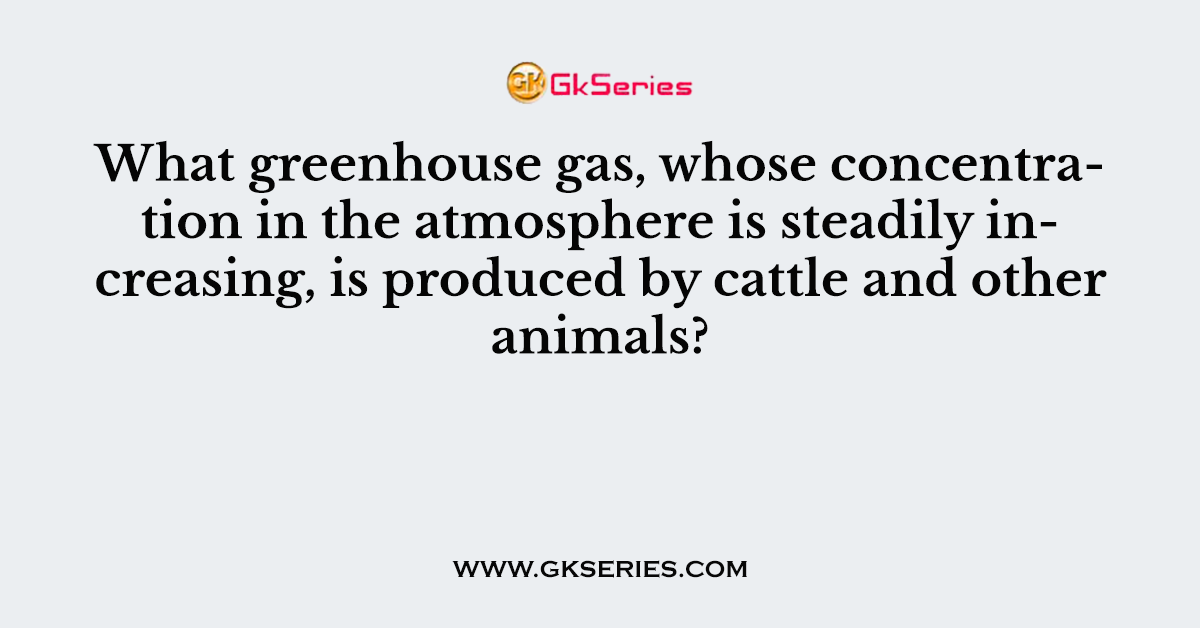 What greenhouse gas, whose concentration in the atmosphere is steadily increasing, is produced by cattle and other animals?