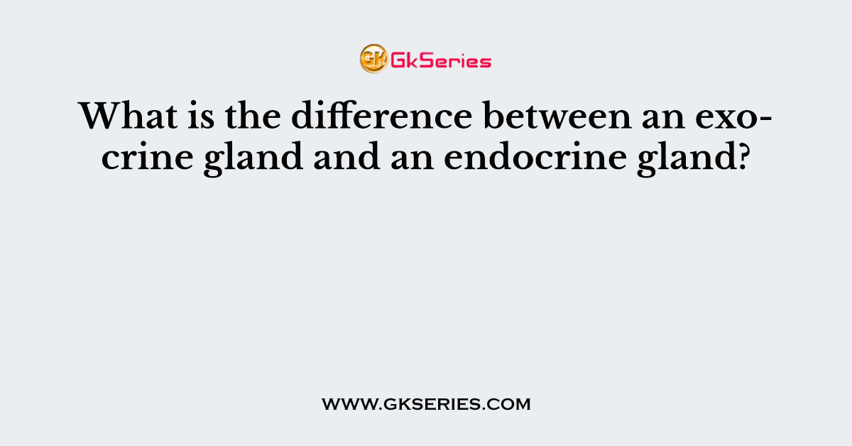 What is the difference between an exocrine gland and an endocrine gland?