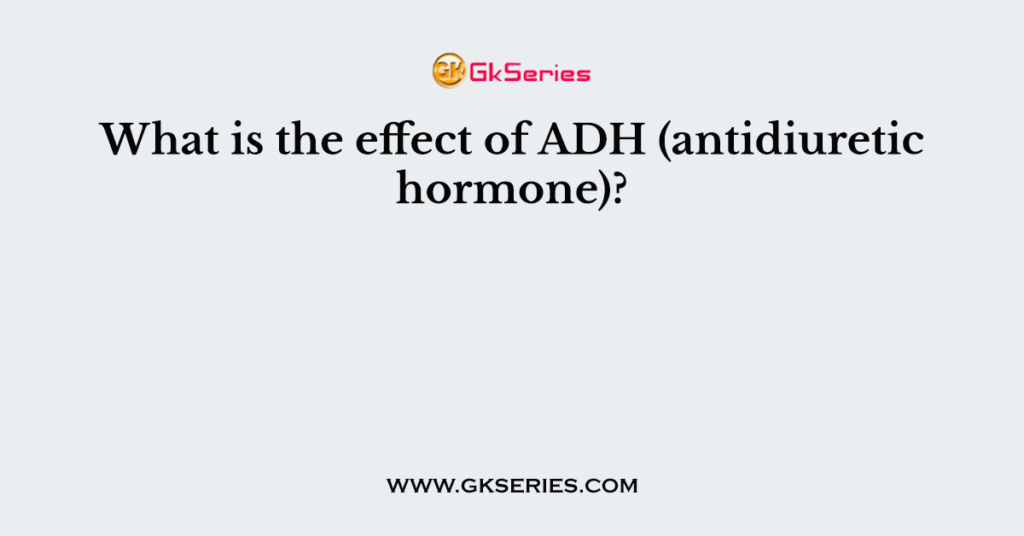 what-is-the-effect-of-adh-antidiuretic-hormone