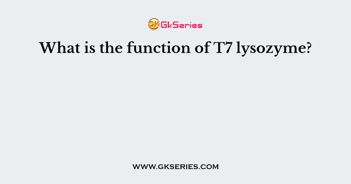 What is the function of T7 lysozyme?