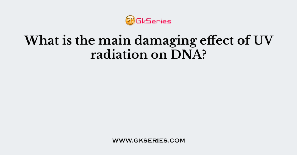 What is the main damaging effect of UV radiation on DNA?