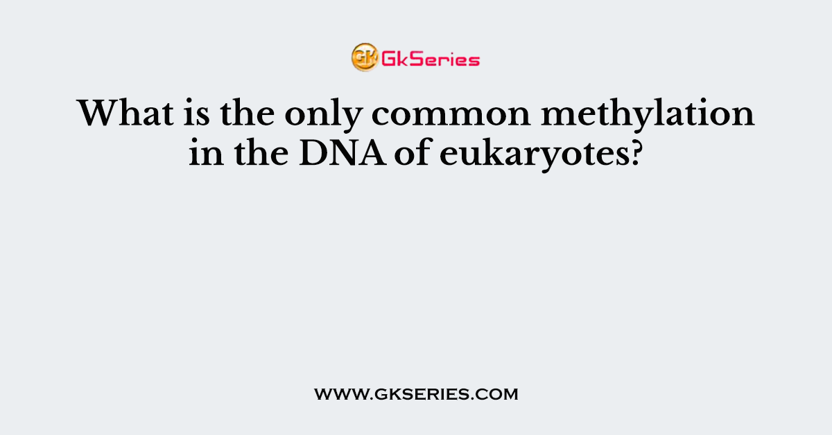 What is the only common methylation in the DNA of eukaryotes?