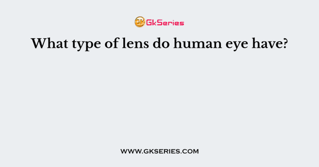 What type of lens do human eye have?