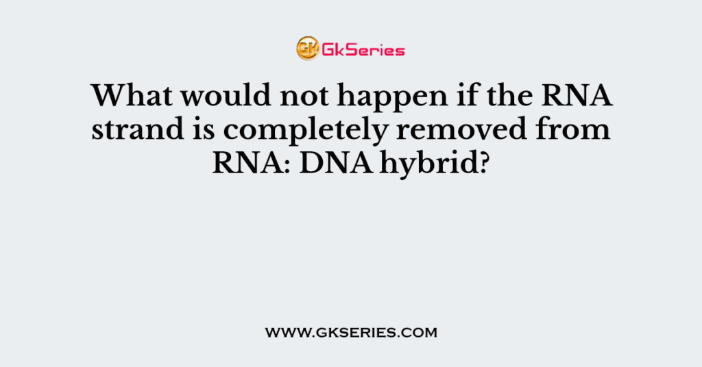 What would not happen if the RNA strand is completely removed from RNA: DNA hybrid?