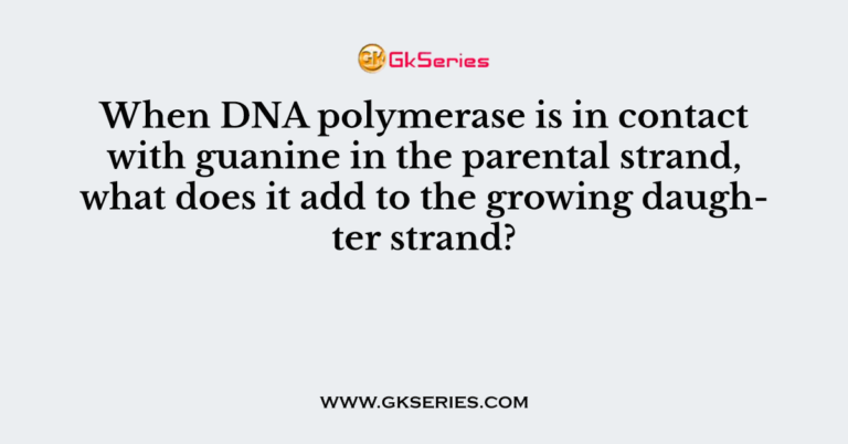 when-dna-polymerase-is-in-contact-with-guanine-in-the-parental-strand