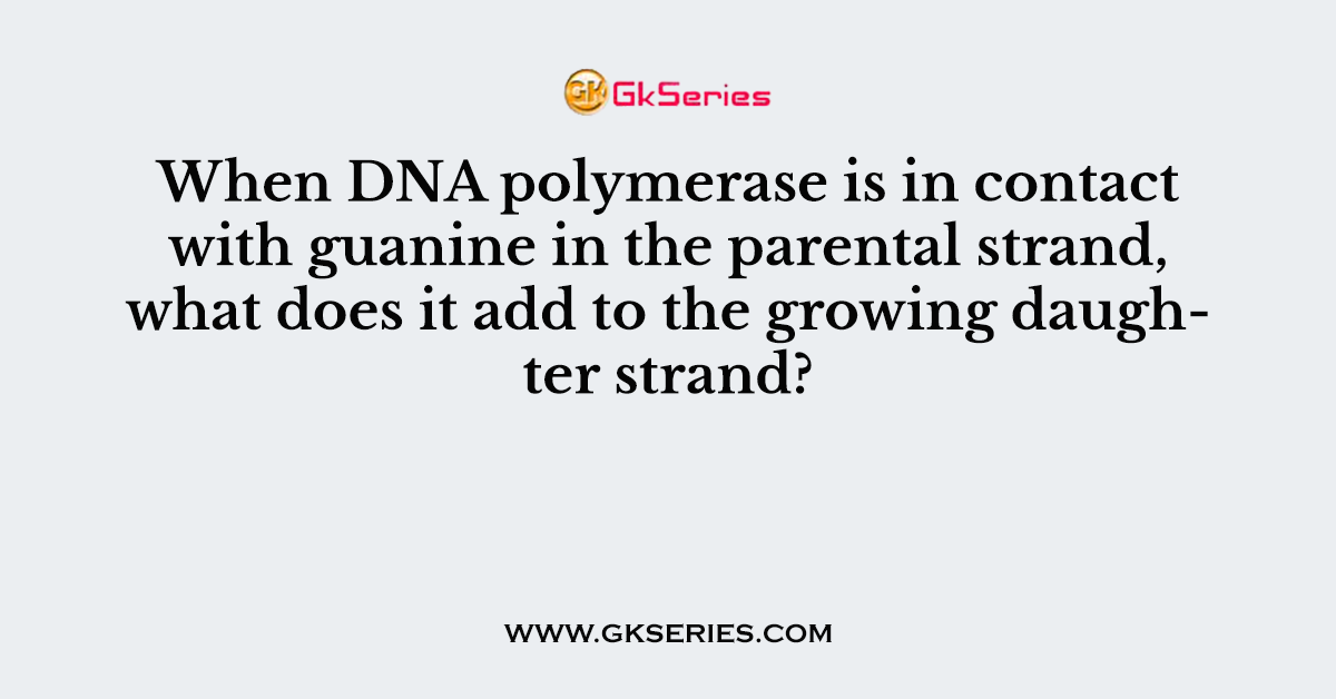 When DNA polymerase is in contact with guanine in the parental strand, what does it add to the growing daughter strand?