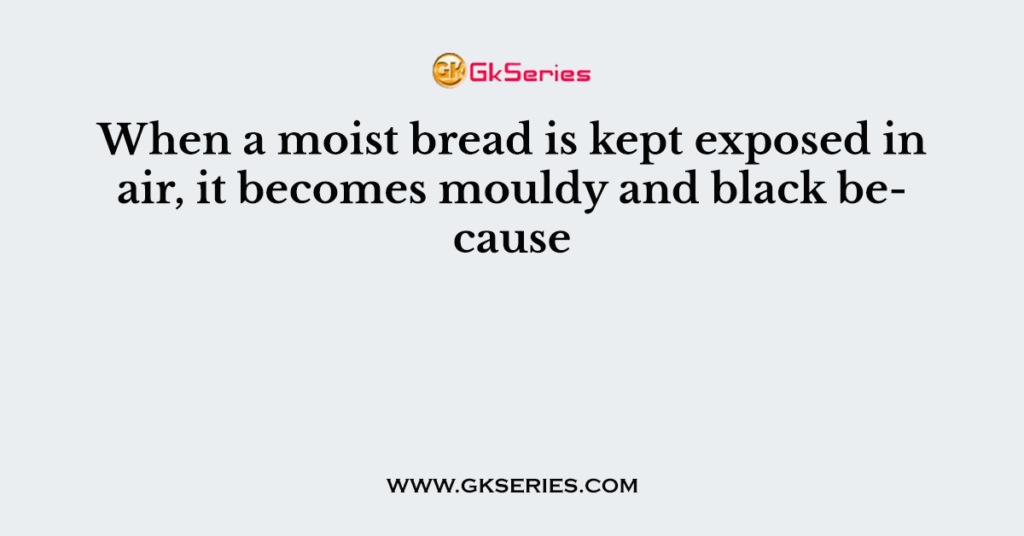 When a moist bread is kept exposed in air, it becomes mouldy and black because