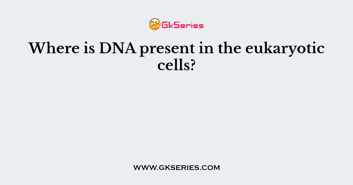 Where is DNA present in the eukaryotic cells?