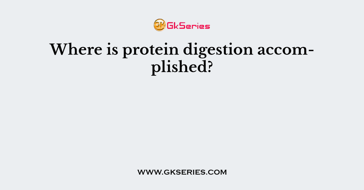Where is protein digestion accomplished?