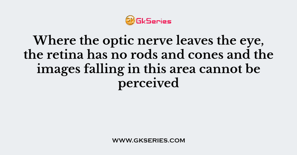 Where the optic nerve leaves the eye, the retina has no rods and cones and the images falling in this area cannot be perceived