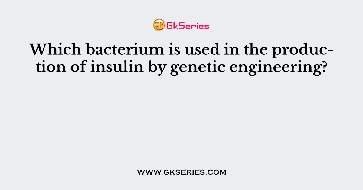 Which bacterium is used in the production of insulin by genetic engineering?