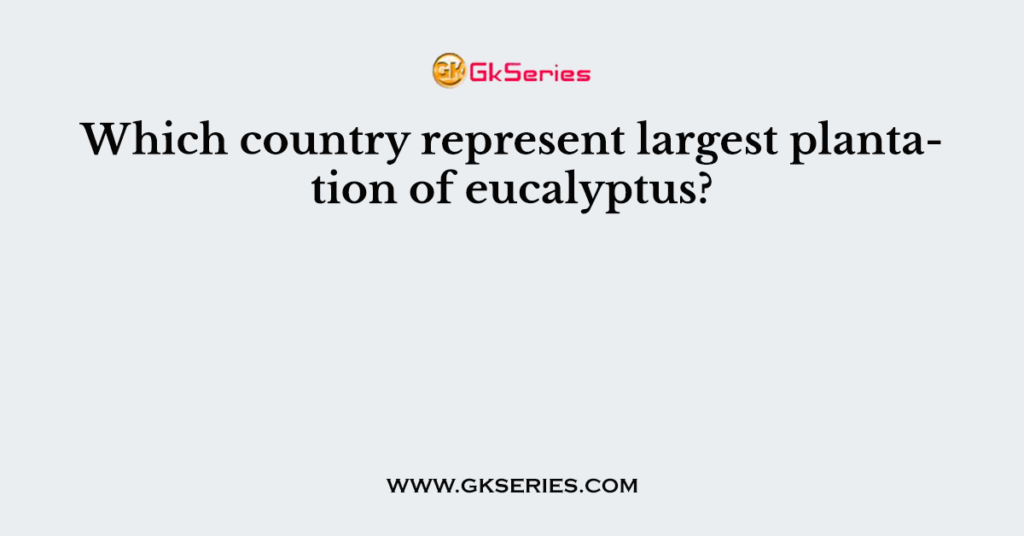 Which country represent largest plantation of eucalyptus?