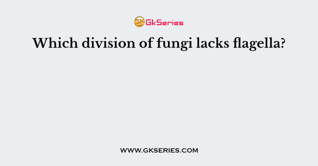 Which division of fungi lacks flagella?