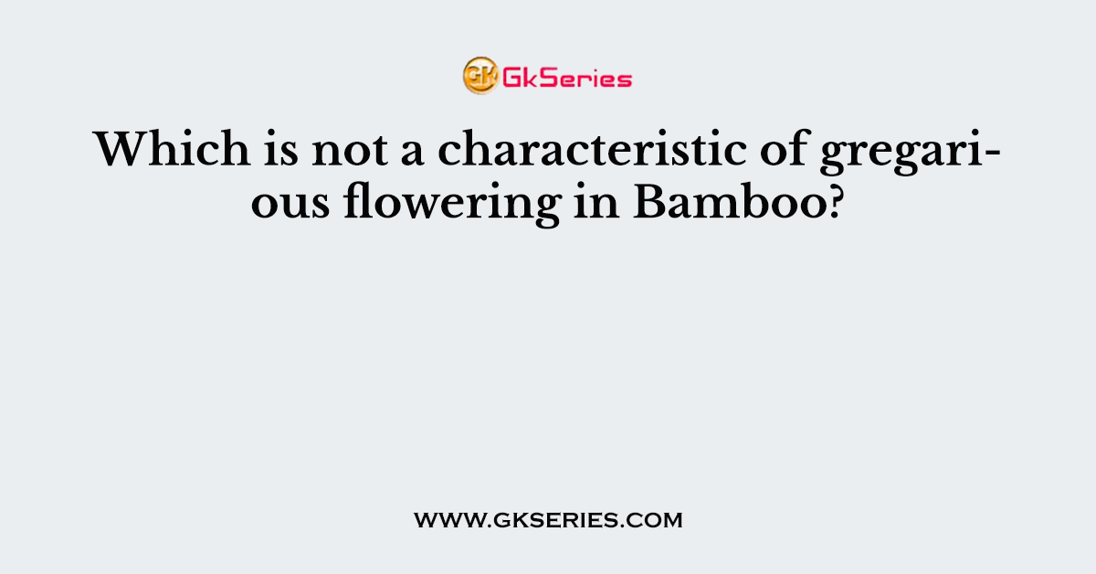 Which is not a characteristic of gregarious flowering in Bamboo?