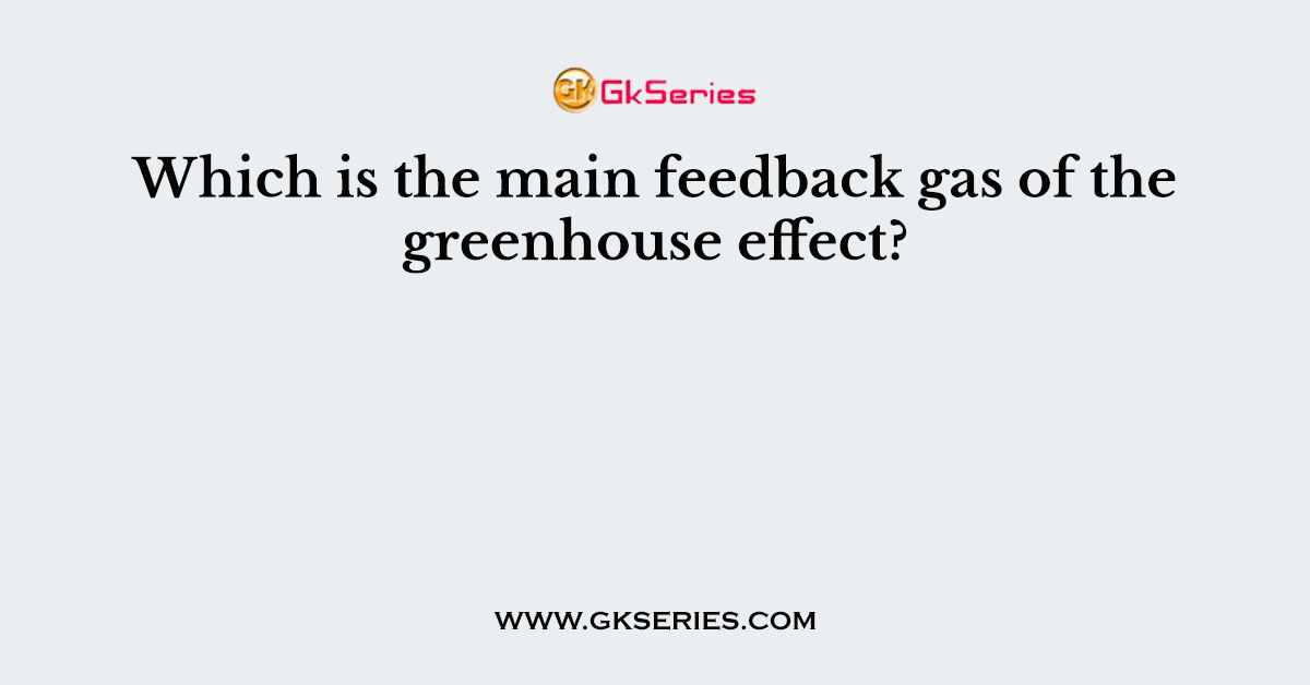 Which is the main feedback gas of the greenhouse effect?