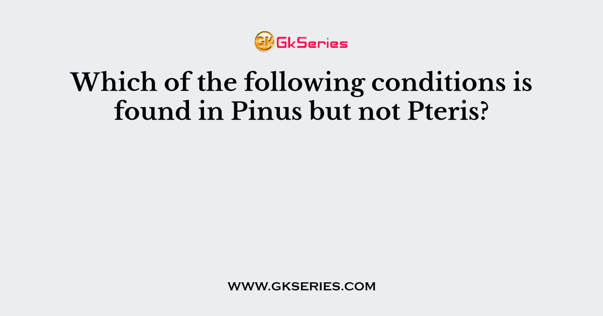 Which of the following conditions is found in Pinus but not Pteris?