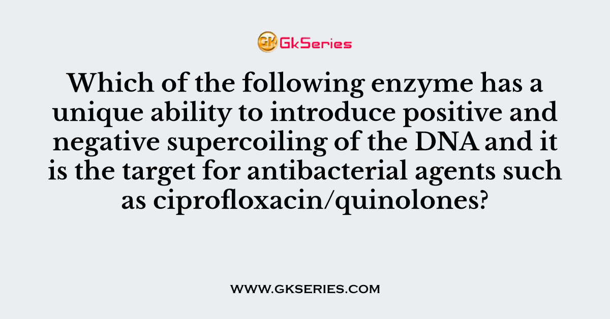 Which of the following enzyme has a unique ability to introduce positive and negative supercoiling of the DNA and it is the target for antibacterial agents such as ciprofloxacin/quinolones?
