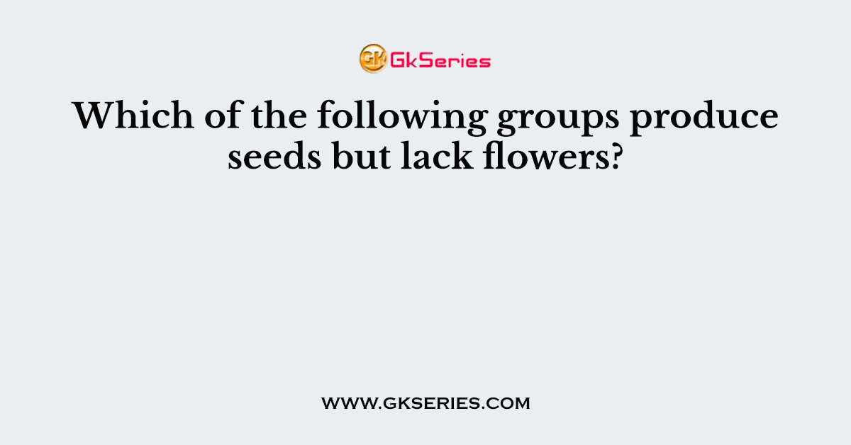 Which of the following groups produce seeds but lack flowers?