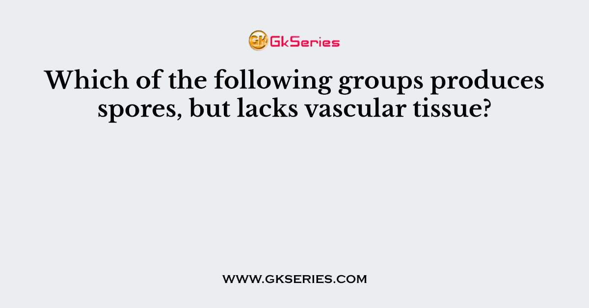 Which of the following groups produces spores, but lacks vascular tissue?