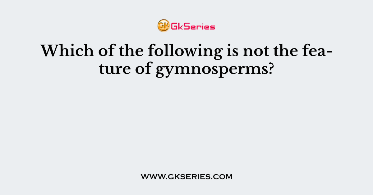 Which of the following is not the feature of gymnosperms?