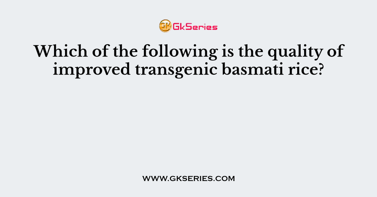 Which of the following is the quality of improved transgenic basmati rice?