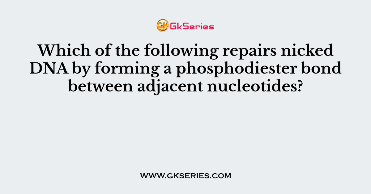 Which of the following repairs nicked DNA by forming a phosphodiester bond between adjacent nucleotides?