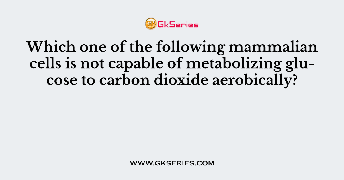 Which one of the following mammalian cells is not capable of metabolizing glucose to carbon dioxide aerobically?