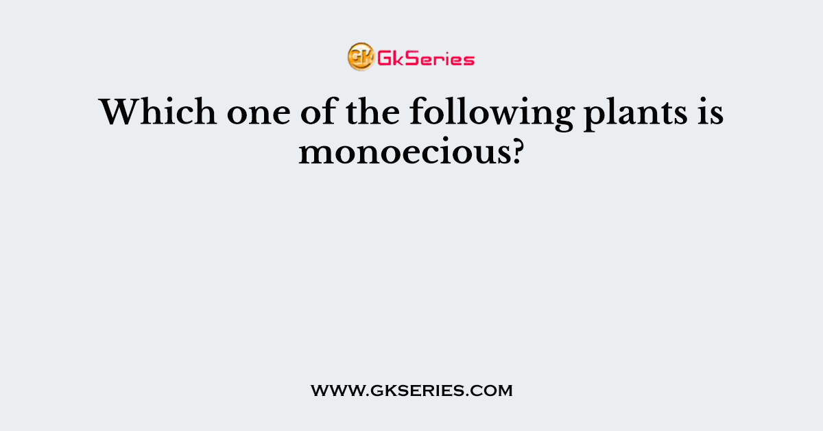 Which one of the following plants is monoecious?